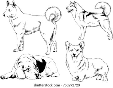 vector sketches of different breeds of dogs drawn in ink by hand with no background, selected objects
