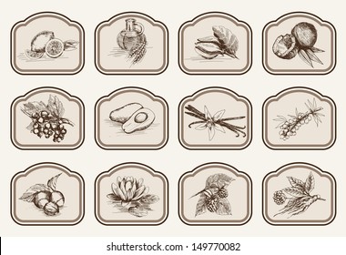 vector sketches natural ingredients used in pharmacology