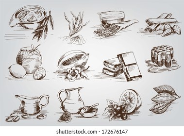 vector sketches natural ingredients used in pharmacology