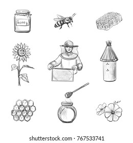 Vector sketches on beekeeping and honey, isolated graphics on a white background