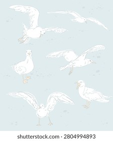 Vector sketches of seagulls in various poses. A set of bird drawings.