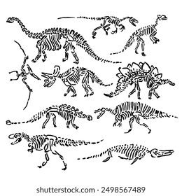 vector sketches of various types of dinosaur skull skeletons with unique and attractive design styles