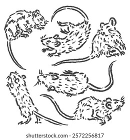 vector sketches of wild rat icons in various styles with simple and unique depictions