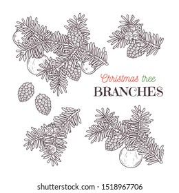 Vector sketching illustrations. Christmas tree branches. Each object can be changed and moved for your design. 
