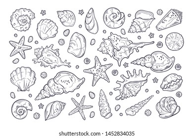 Vector sketching illustrations. Different types of seashells. Isolated objects for your design.