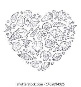 Vector sketching illustrations. Different types of seashells. Isolated objects for your design. 