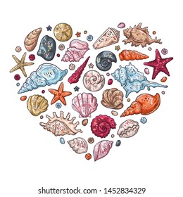 Vector sketching illustrations. Different types of seashells. Isolated objects for your design. Each object can be changed and moved.