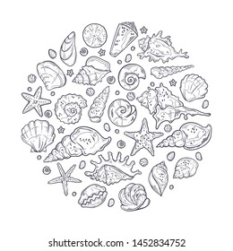 Vector sketching illustrations. Different types of seashells. Isolated objects for your design. Each object can be changed and moved.