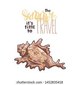 Vector sketching illustrations. Different types of seashells. Lettering: the summer it is time to travel. Isolated objects for your design. Each object can be changed and moved.
