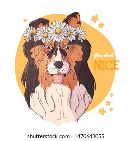 Vector sketching illustrations. Portrait of collie dog with a wreath of daisies. Isolated objects for your design. Each object can be changed and moved.