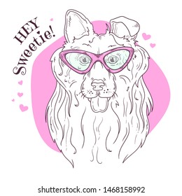 Vector sketching illustrations. Portrait of a cute dog in glasses. Isolated objects for your design. Each object can be changed and moved.