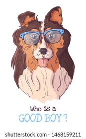 Vector sketching illustrations. Portrait of a cute dog in glasses. Isolated objects for your design. Each object can be changed and moved.