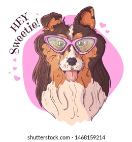Vector sketching illustrations. Portrait of a cute dog in glasses. Isolated objects for your design. Each object can be changed and moved.