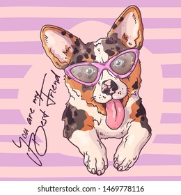 Vector sketching illustrations. Portrait of a cute corgi dog in glasses. Isolated objects for your design. Each object can be changed and moved.