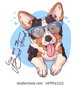 Vector sketching illustrations. Portrait of a cute corgi dog in glasses. Isolated objects for your design. Each object can be changed and moved.
