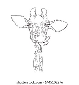 Vector sketching illustrations. Portrait of funny giraffe. Isolated objects for your design. Each object can be changed and moved.