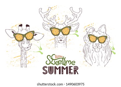 Vector sketching illustrations. Portrait of a funny animals in glasses. Isolated sketch objects for your design. Each object can be changed and moved.