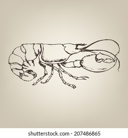 Vector sketchy drawing of lobster on simple beige background
