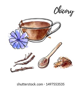 Vector sketchy illustration Chicory. Hand drawn cup with hot beverage, roots and flower, spoon with powder. Black ink outline and isolated watercolor texture with drips and stains. 