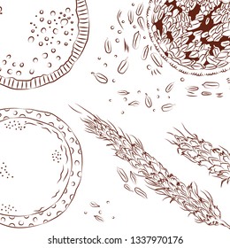 vector sketchy monochrome set of spikes, wheat production and seeds isolated on white. No filling.