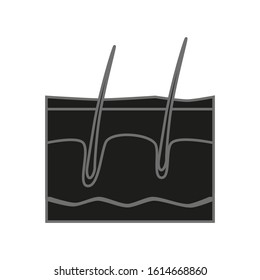 vector skin part icon of human skin layers