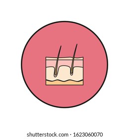 vector skin part icon of human skin layers