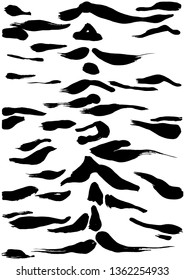 vector skin texture of animal skin tiger zebra