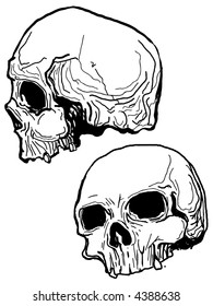 Vector skull