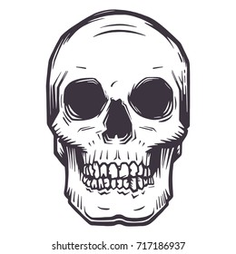 vector skull