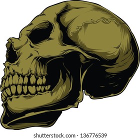Vector Skull artwork