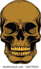 Vector Skull artwork