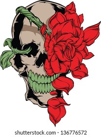 Vector Skull artwork