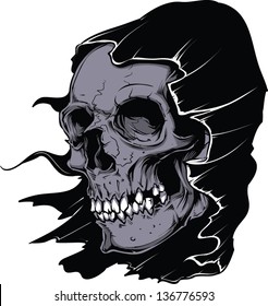 Vector Skull artwork