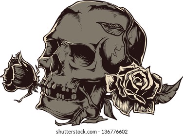 Vector Skull artwork