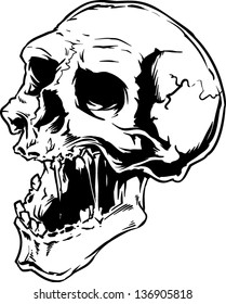 Vector skull artwork