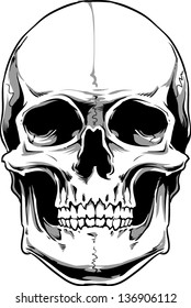 Vector skull artwork