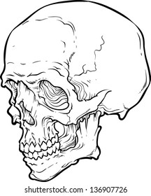 Vector skull artwork
