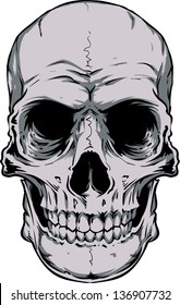 Vector skull artwork