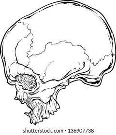 Vector skull artwork