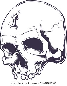 Vector skull artwork