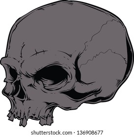 Vector skull artwork