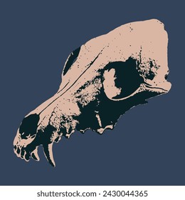 Vector Skull Canine on Blue