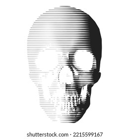 Vektorskull-Design mit Schattierungen aus diagonalen Linien. Künstlerisches Schädeldesign im Holzschnitt. 