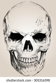 vector skull with easy edited