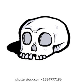 Vector Skull Illustration