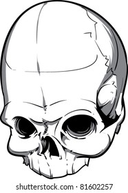 Vector Skull Illustration