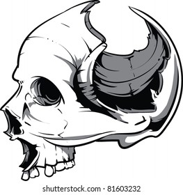 Vector Skull Illustration