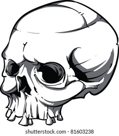Vector Skull Illustration