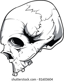 Vector Skull Illustration