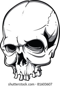 Vector Skull Illustration